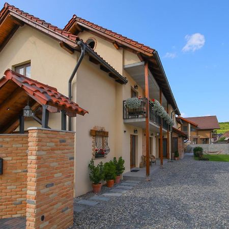 Ama Guest House Turda Exterior photo